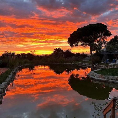 拉戈阿 Oasis Camp Portugal酒店 外观 照片